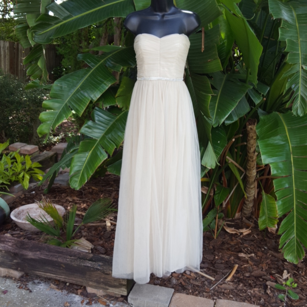 Minuet Strapless corset dress